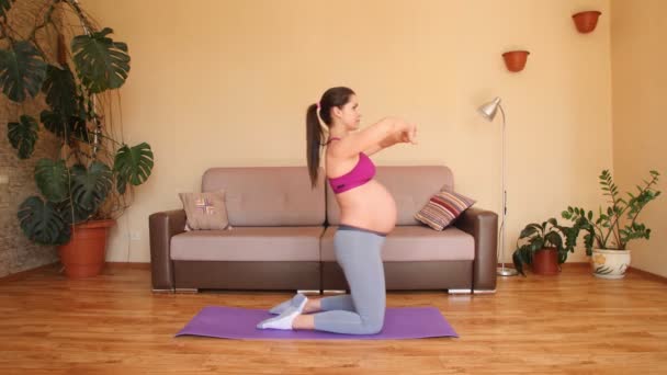 La Mujer Embarazada Hacer Ejercicio Con Un Ejercicio De Pelota Roja  Mientras Está Sentado En Una Pelota De Fitness Azul Fotos, retratos,  imágenes y fotografía de archivo libres de derecho. Image 13314174