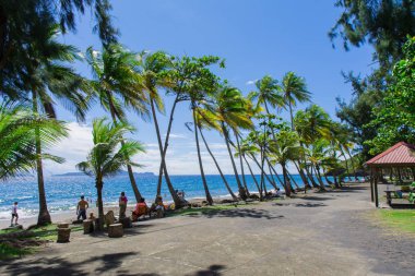 Trois Rivieres yakınlarındaki Grande Anse plajı, Basse-Terre, Guadeloupe