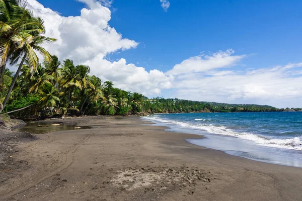 Grande Anse Beach Nära Trois Rivieres Basse Terre Guadeloupe — Stockfoto