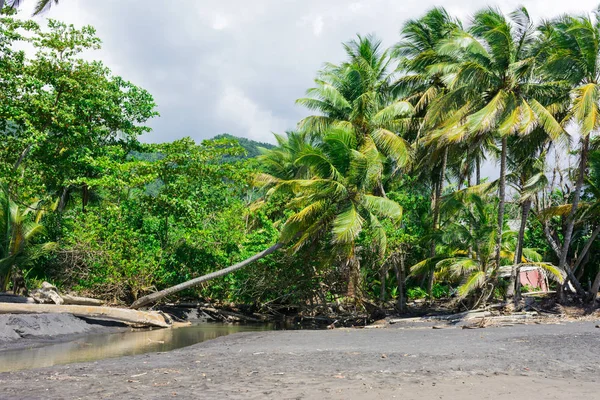 Grande Anse Plage Près Trois Rivières Basse Terre Guadeloupe — Photo