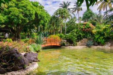 Deshaies Botanik Bahçesi, Basse-Terre kuzey batısında, Guadeloupe