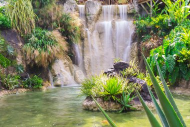 Botanical Garden in Deshaies, north west of Basse-Terre, Guadeloupe clipart