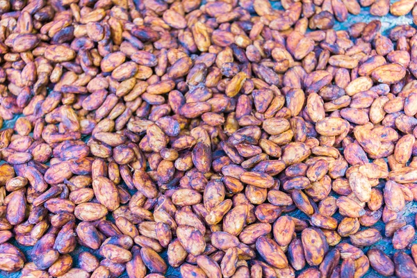 Cacao Guadeloupe Basse Terre Guadeloupe — Stock Photo, Image