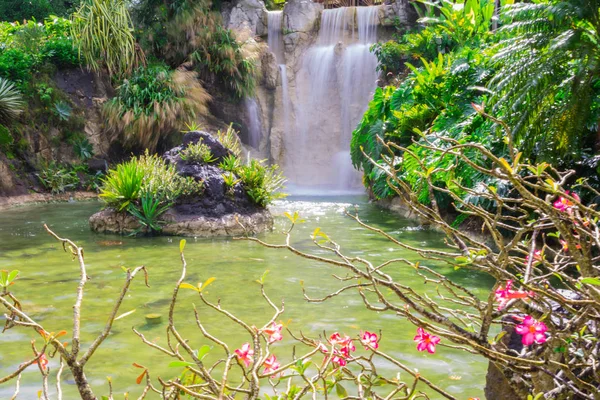 Deshaies Botanik Bahçesi Basse Terre Kuzey Batısında Guadeloupe — Stok fotoğraf