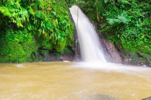 Famous Cascade Aux Ecrevisses Route Traversee Basse Terre Guadeloupe — Stock Photo, Image