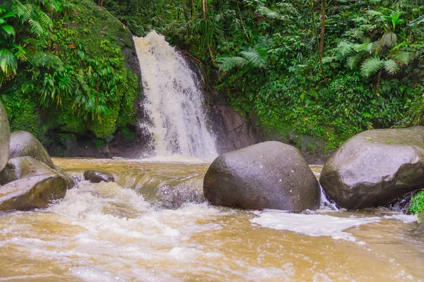 Berömda Cascade Aux Ecrevisses Route Traversee Basse Terre Guadeloupe — Stockfoto