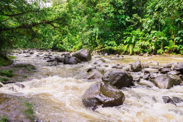 Famosa Cascata Aux Ecrevisses Sulla Route Traversee Basse Terre Guadalupa — Foto Stock