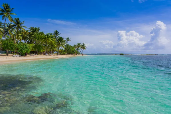 Sainte Anne Grande Terre Guadeloupe Yakınlarındaki Ünlü Caravelle Plajı — Stok fotoğraf