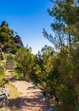 Madeira'nın en yüksek dağında trekking, Pico Ruivo, Portekiz