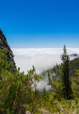 Madeira'nın en yüksek dağında trekking, Pico Ruivo, Portekiz