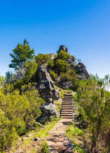 Trekking Höchsten Berg Madeiras Pico Ruivo Portugal — Stockfoto