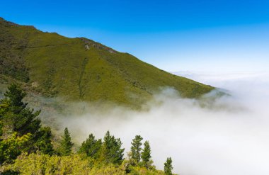 Madeira'nın en yüksek dağında trekking, Pico Ruivo, Portekiz
