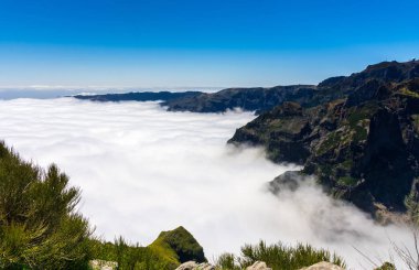 Madeira'nın en yüksek dağında trekking, Pico Ruivo, Portekiz