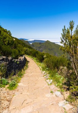 Madeira'nın en yüksek dağında trekking, Pico Ruivo, Portekiz