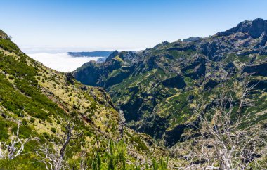 Madeira'nın en yüksek dağında trekking, Pico Ruivo, Portekiz