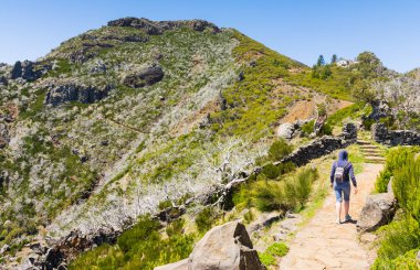 Madeira'nın en yüksek dağında trekking, Pico Ruivo, Portekiz