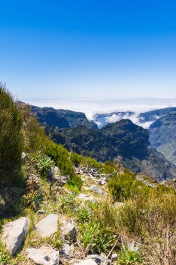 Madeira'nın en yüksek dağında trekking, Pico Ruivo, Portekiz