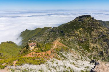 Madeira'nın en yüksek dağında trekking, Pico Ruivo, Portekiz