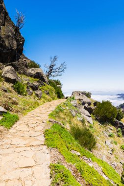 Madeira'nın en yüksek dağında trekking, Pico Ruivo, Portekiz