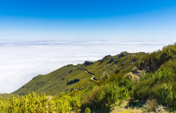 Trekking Highest Mountain Madeira Pico Ruivo Portugal — Stock Photo, Image