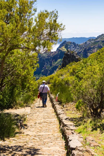 Madeira Nın Yüksek Dağında Trekking Pico Ruivo Portekiz — Stok fotoğraf