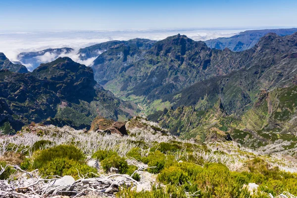 Trekking Montaña Más Alta Madeira Pico Ruivo Portugal —  Fotos de Stock