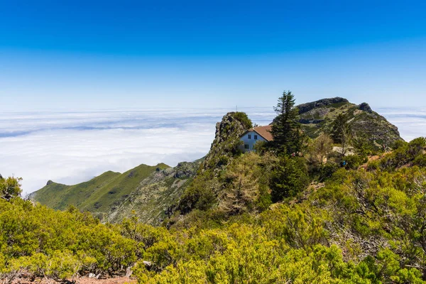 Trekking Highest Mountain Madeira Pico Ruivo Portugal — Stock Photo, Image