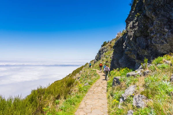 Madeira'nın en yüksek dağında trekking, Pico Ruivo, Portekiz