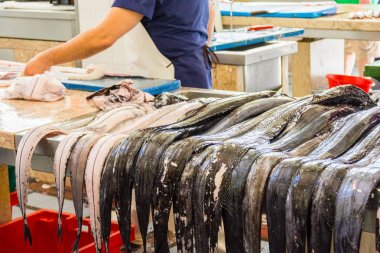 Funchal geleneksel balık pazarı Mercado dos Lavradores, Madeira adası, Portekiz