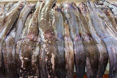 Funchal geleneksel balık pazarı Mercado dos Lavradores, Madeira adası, Portekiz