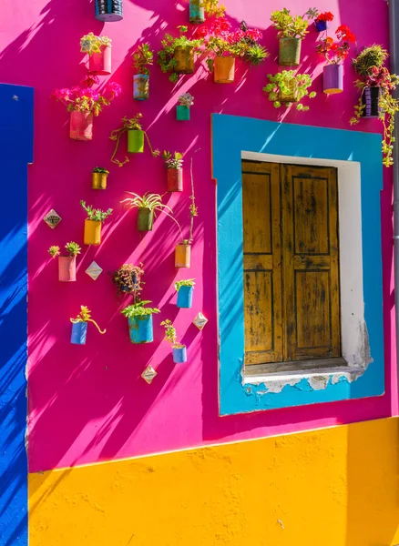 Coloridos Vasos Flores Parede Pintada Abstracta Colorida Nas Ruas Funchal — Fotografia de Stock