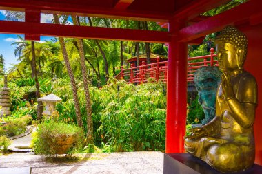 Funchal botanik bahçesi, Madeira adası, Portekiz
