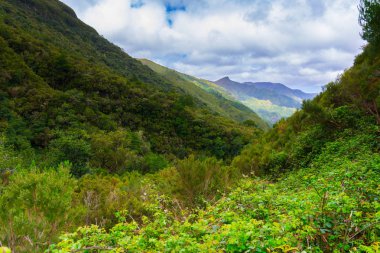 Levada das 25 fontes ve levada do risco, Madeira Adası, Portekiz