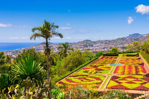 Funchal botanik bahçesi, Madeira adası, Portekiz