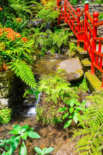 Orto Botanico Funchal Isola Madeira Portogallo — Foto Stock