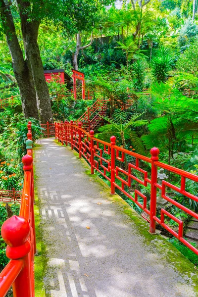 Orto Botanico Funchal Isola Madeira Portogallo — Foto Stock