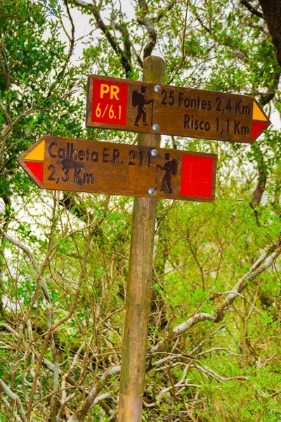 Levada Das Fontes Levada Risco Ostrov Madeira Portugalsko — Stock fotografie