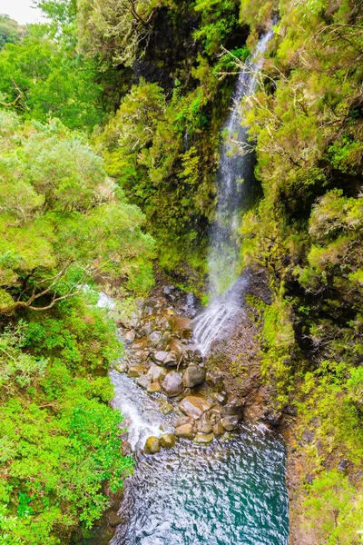 Levada Das Fontes Levada Risco Madeira Adası Portekiz — Stok fotoğraf