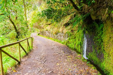 Levada das 25 fontes ve levada do risco, Madeira Adası, Portekiz