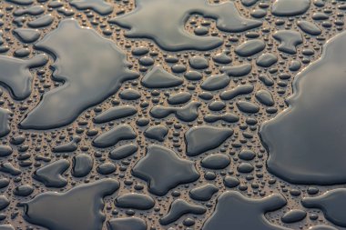 Güneş ışığı arkaplanlı su damlaları