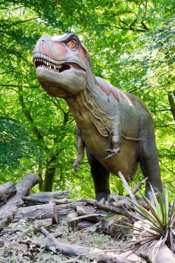Büyük T Rex bir park ormanında