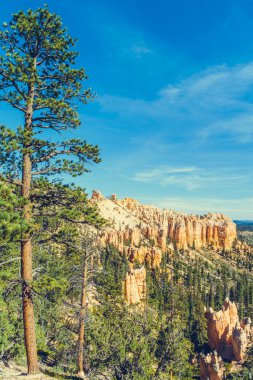 Bryce Kanyonu Ulusal Parkı, Utah, ABD