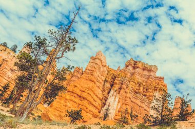 Bryce Kanyonu Ulusal Parkı, Utah, ABD