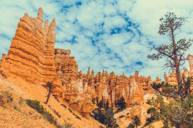 Bryce Kanyonu Ulusal Parkı, Utah, ABD