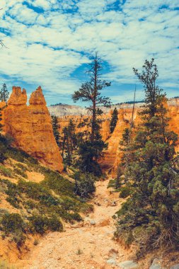 Bryce Kanyonu Ulusal Parkı, Utah, ABD