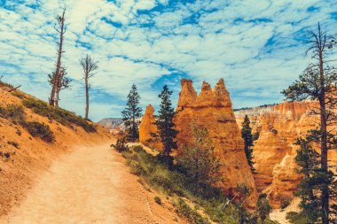 Bryce Kanyonu Ulusal Parkı, Utah, ABD