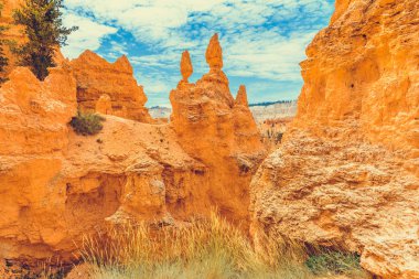 Bryce Kanyonu Ulusal Parkı, Utah, ABD