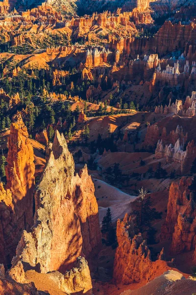 Bryce Canyon Parque Nacional Utah Eua — Fotografia de Stock