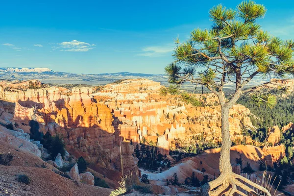 Bryce Kanyonu Ulusal Parkı, Utah, ABD