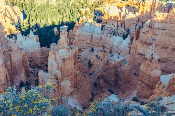 Bryce Canyon Parque Nacional Utah —  Fotos de Stock